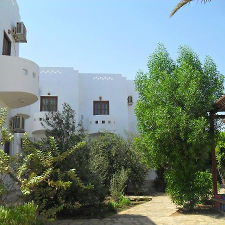 Alaska Camp & Hotel Dahab Room photo